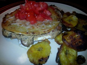 Chicken Quesadilla and Plantains